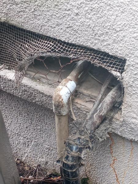 Done Right Rodent Proofing Novato