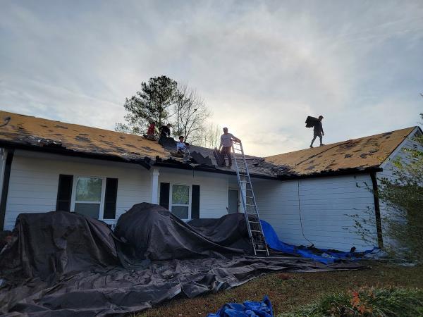 Speedy Turtle Roofing
