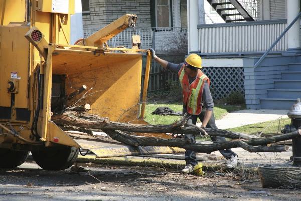Greenleaf Tree Care