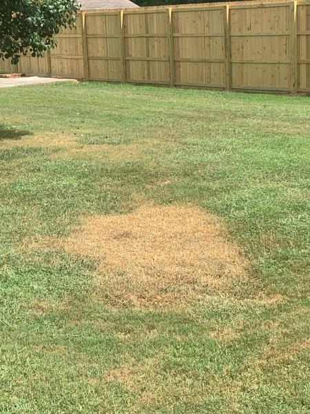Big T's Septic Tank Service