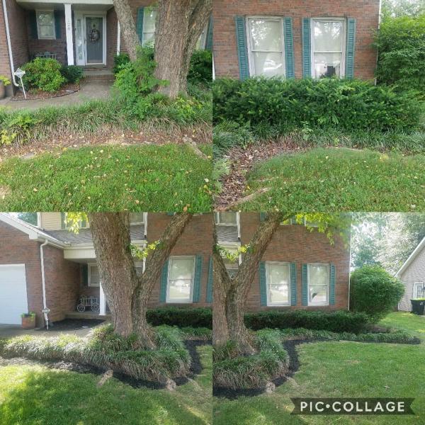 Hayes Lawn and Tree Care