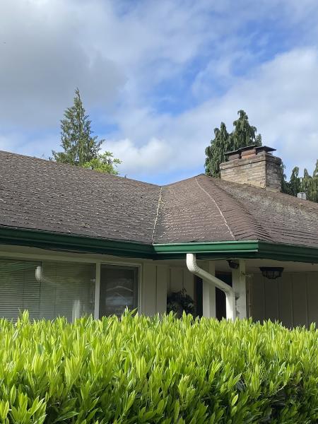 Vanguard Roofing LLC
