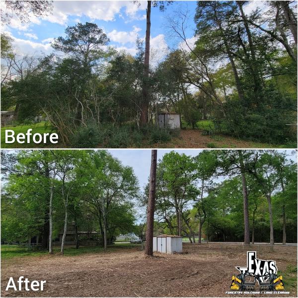Texas Forestry Mulching and Land Clearing