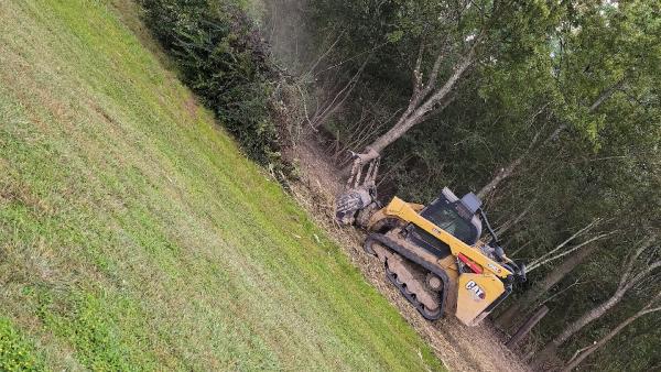 Texas Forestry Mulching and Land Clearing