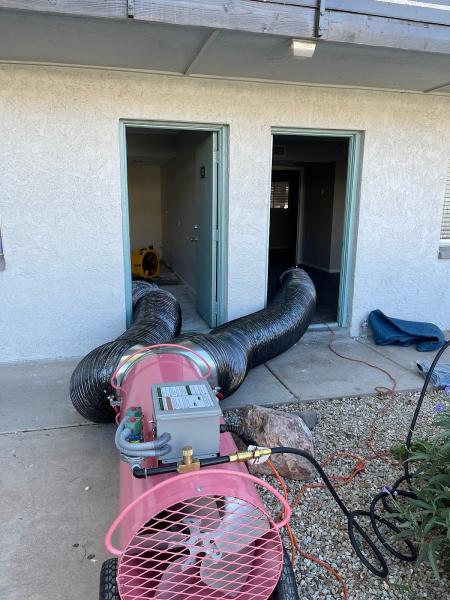 Wagner Pest Solutions