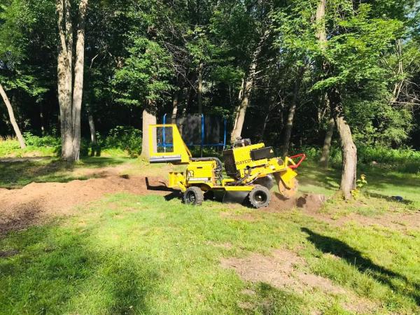 K & M Stump Removal