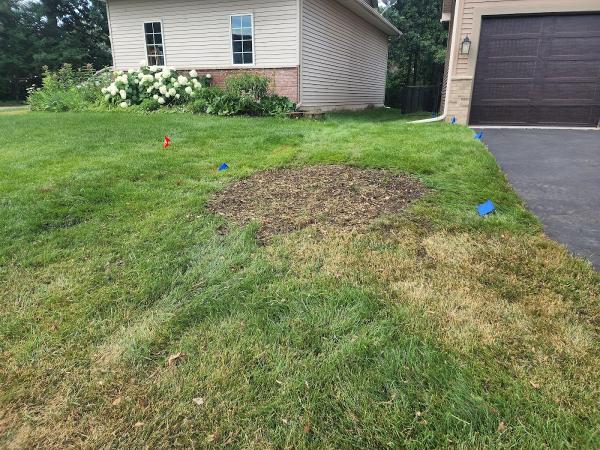 K & M Stump Removal