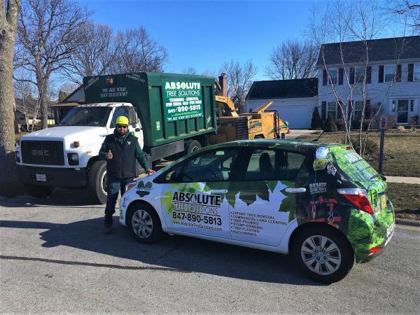 Absolute Tree Solutions