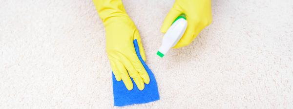 Choice Cornelius Carpet Cleaning