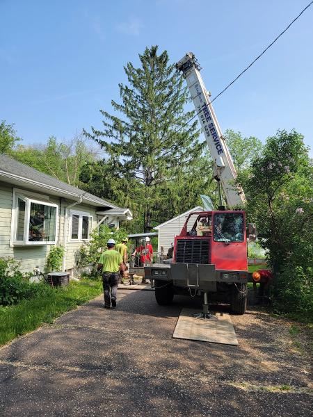 Eau Claire Tree Service