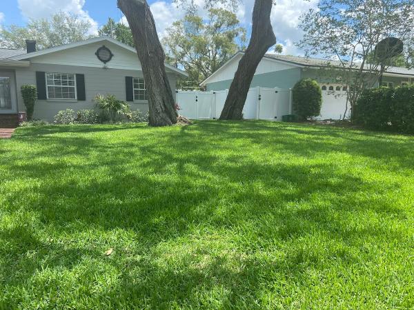 Citrus Landscape Solutions