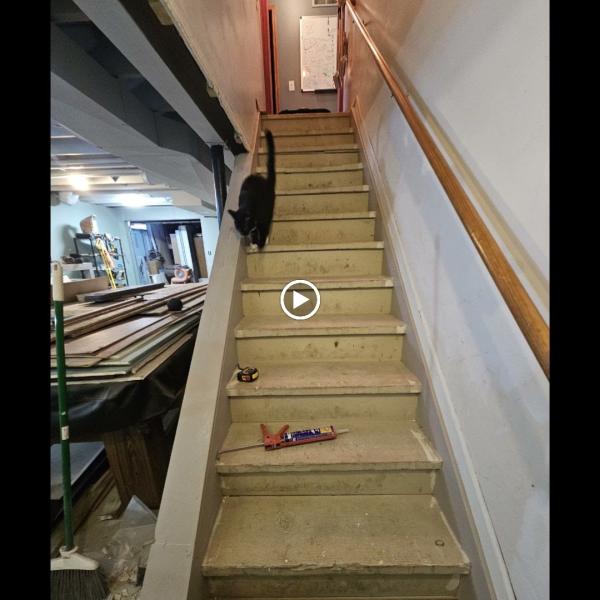 Functional Floors