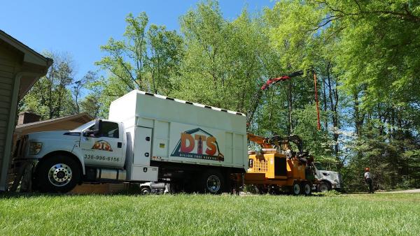 Dillon Tree Service