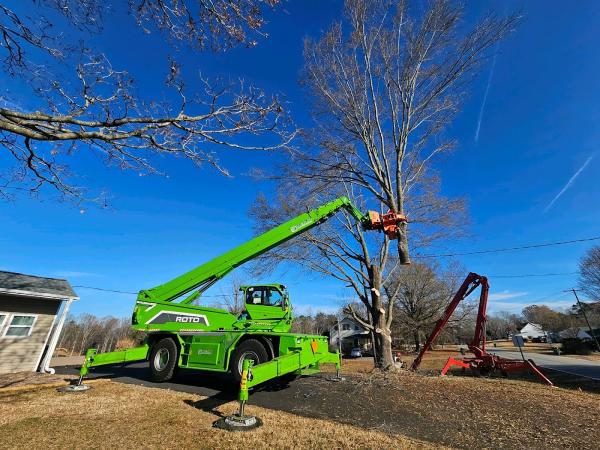 Dillon Tree Service