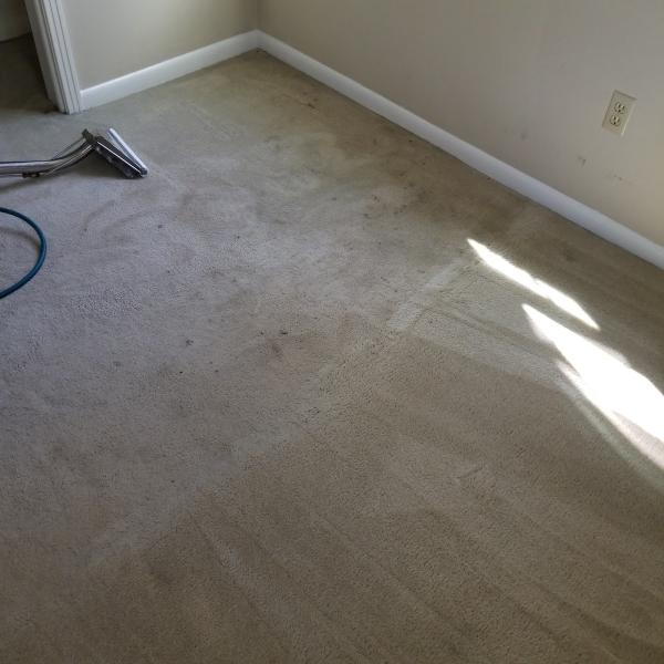 All Metro Carpet Cleaning