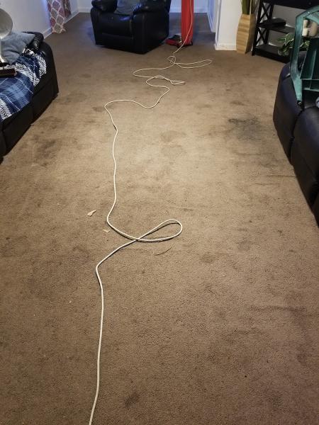All Metro Carpet Cleaning