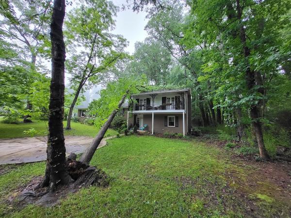 Cary Tree Removal