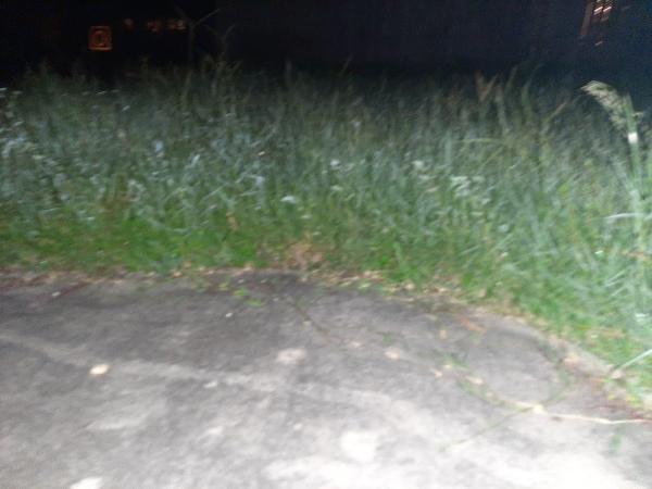 Lawn Medics