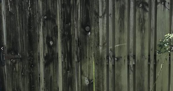 Sailfish Softwash