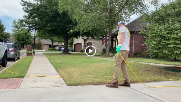Superior Lawn Solutions & Weed Control