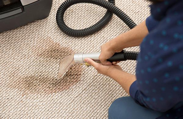 United Carpet Clean & Water Damage Restoration