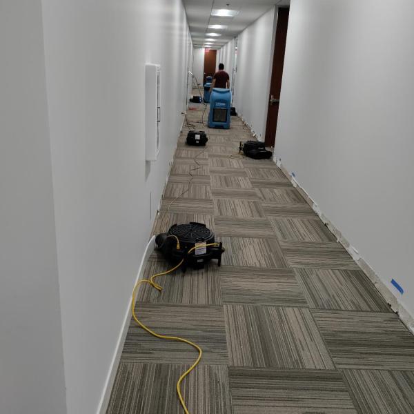 United Carpet Clean & Water Damage Restoration