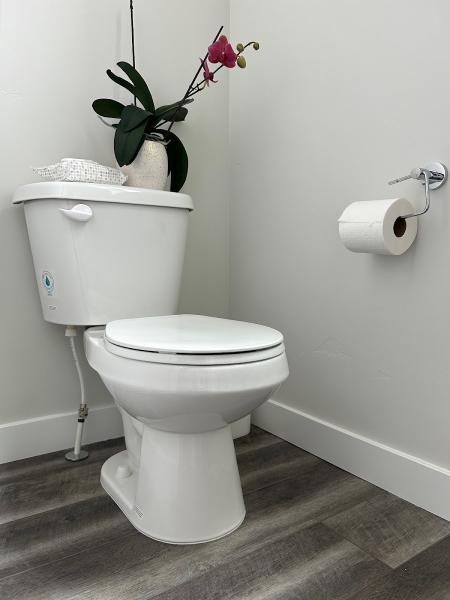 Premium House Cleaning