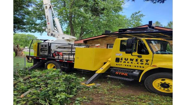Sunset Tree Service