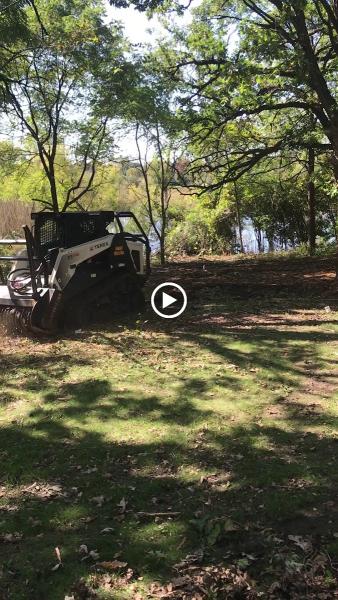 Sunset Tree Service