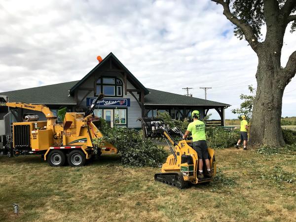 Sunset Tree Service