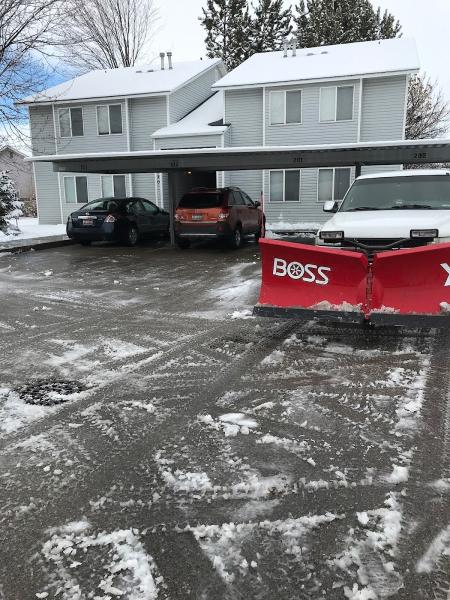 Proline Pavement