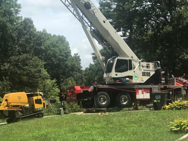Orleans Co. Tree Service