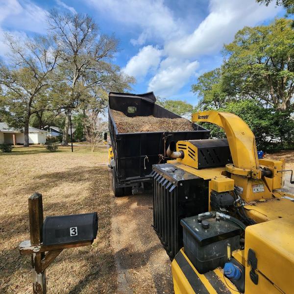 Charleston Stump Stompers & Tree Service