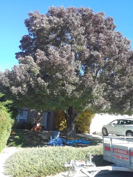 Magni Landscape Contractors