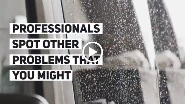 Dutch Window Cleaning Artist