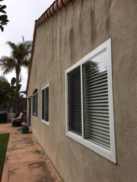 Dutch Window Cleaning Artist