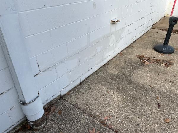Force Basement Solutions