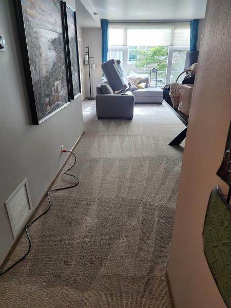 Sam's Carpet Cleaning