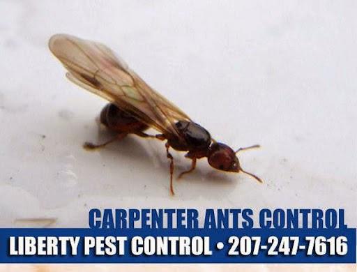Liberty Pest Control