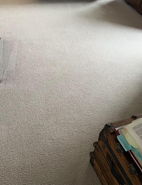J & S Carpet Cleaning
