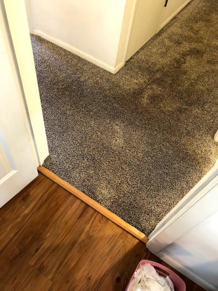 J & S Carpet Cleaning
