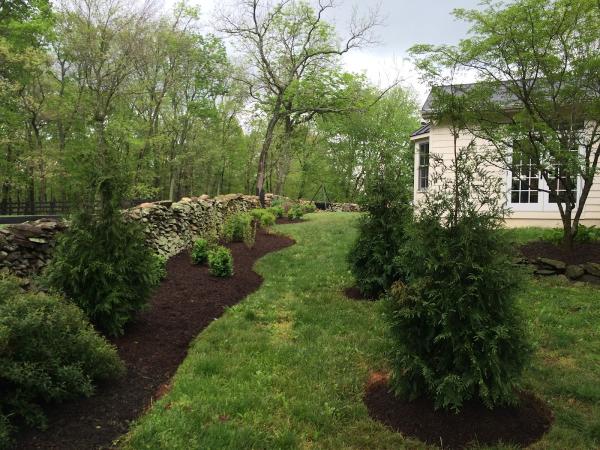 Wildwood Landscape (Production Center)