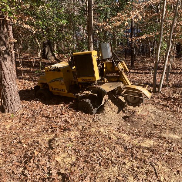 Shelton's Tree and Landscape Maintenance