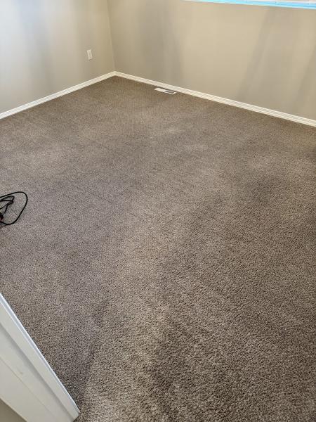Carpet Clarity