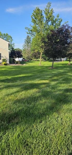Lawn Buddies