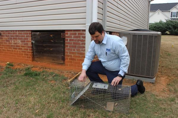 Pest Management Solutions