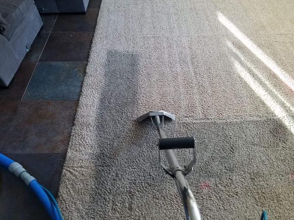 Lotus Green Carpet & Rug Care
