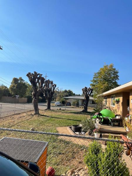 Crosscut Tree Service