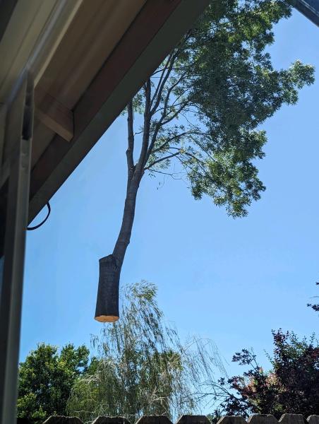 Crosscut Tree Service
