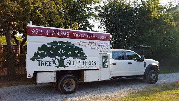 Tree Shepherds